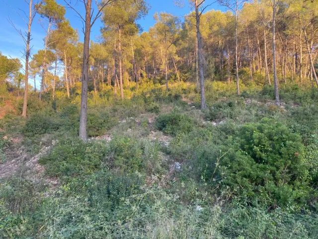 Fantastico terreno en Vallirana - En el sector el pinar, parte alta. — 19