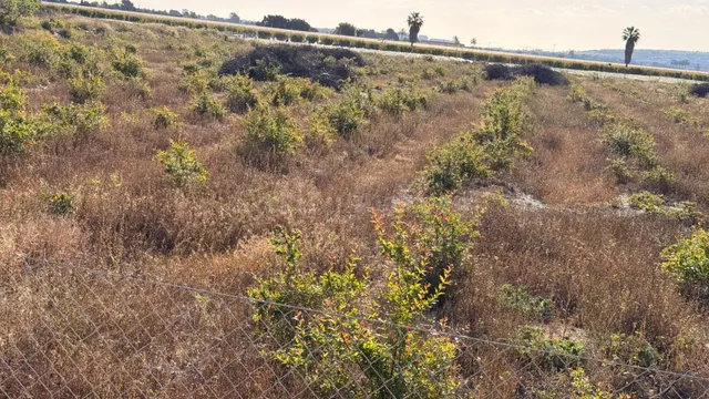 Oportunidad de Inversión, Terreno junto al núcleo urbano. - foto 5