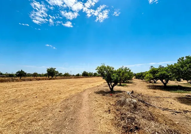 Exclusiva finca con tres viviendas independientes a pocos mi - foto 5