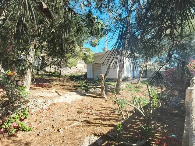 PARCELA CON EDIFICACION EN TODOSOL — 6