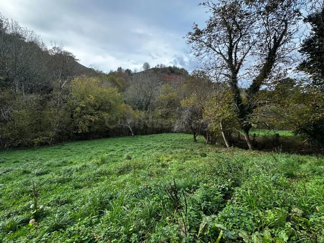 FINCA EDIFICABLE A 3 KM DE CANGAS DE ONIS — 4