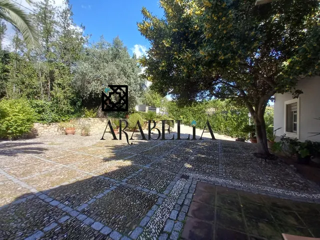 ESPECTACULAR FINCA DE 3.000m2 | 2 VIVIENDAS INDEPENDIENTES | - foto 3