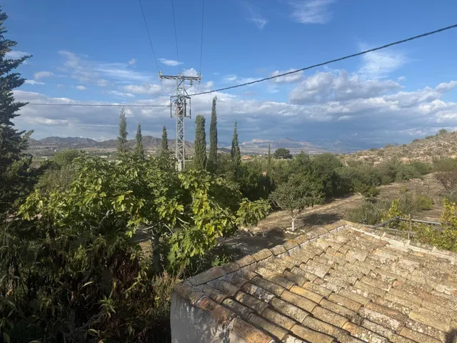 TERRENO RÚSTICO EN VENTA EN TOLOMÓ – ASPE (ALICANTE) - foto 2