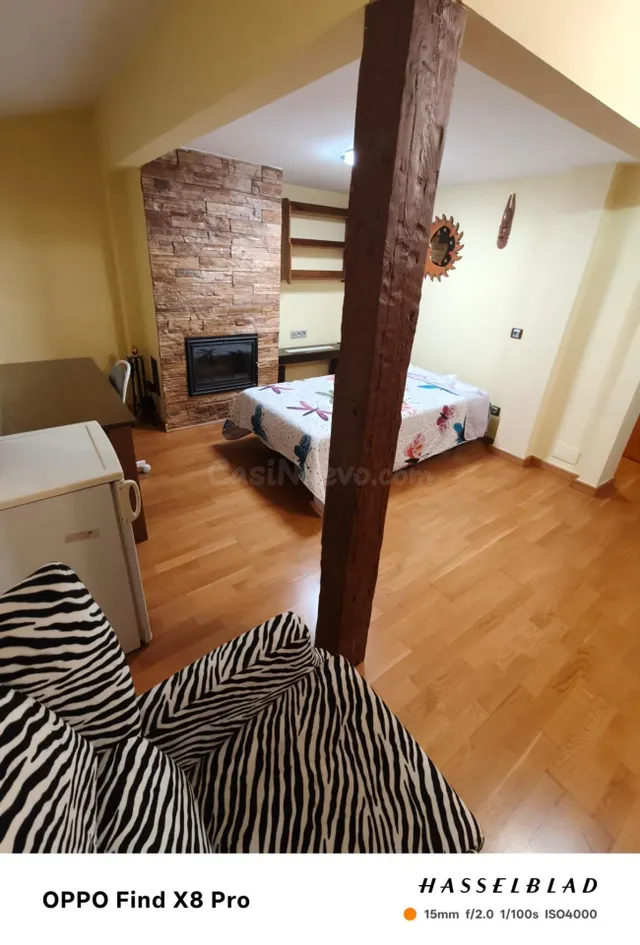 Chalet Estudiantes en La Ñora - ¡Solo Chicas! — 34