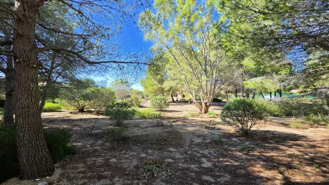 Chalet con piscina, gran parcela y licencia turística — 39