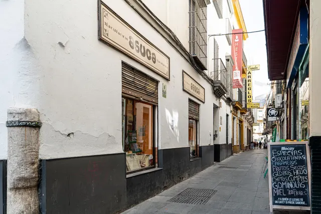 SE TRASPASA TIENDA ESPECIALIZADA EN TÉ, CAFÉ Y CHOCOLATE — 7