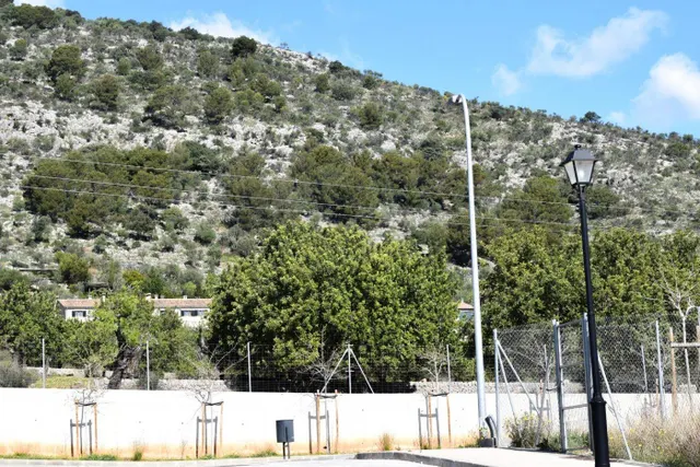 Parcela para construir dos viviendas unifamiliares en Alaró — 5