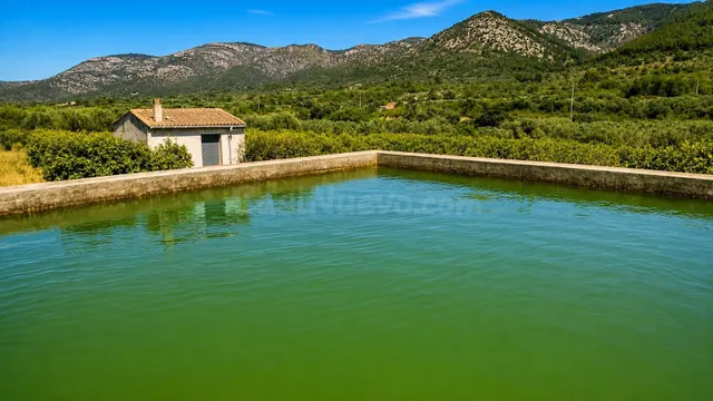 Finca rústica de 12.440 m2 con 490 naranjos Valencia Late en - foto 3