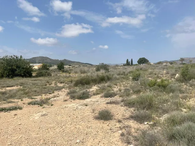VENTA DE TERRENO EN NOVELDA (ALICANTE) - foto 2