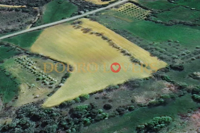 Terreno rural en venta - Castrelos e Carrazedo - foto 2