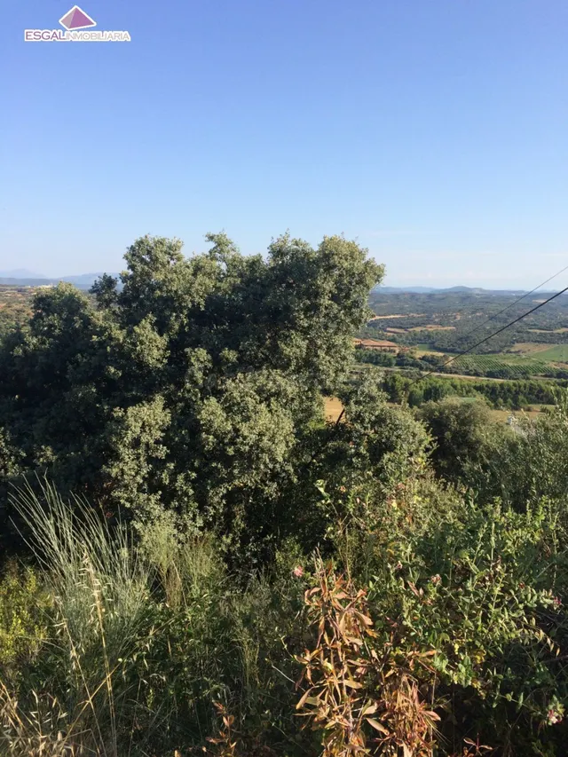 Se vende parcela en Urbanización El Ariño - foto 4