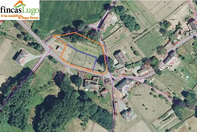 FINCA URBANIZABLE DE 1.524m en BEGONTE. - foto 2