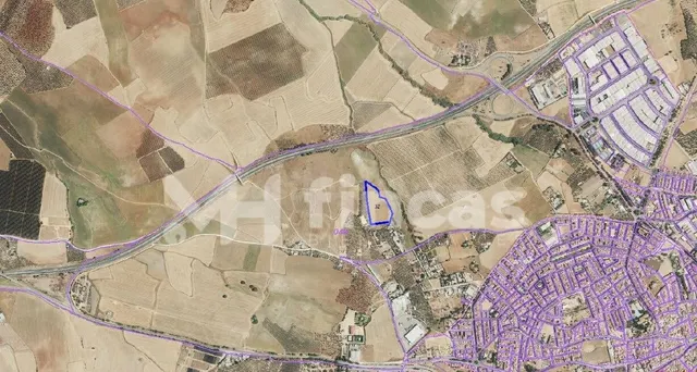 FINCA RÚSTICA EN VENTA EN CARMONA – 18.000 m2 CON POZO – CER - foto 2