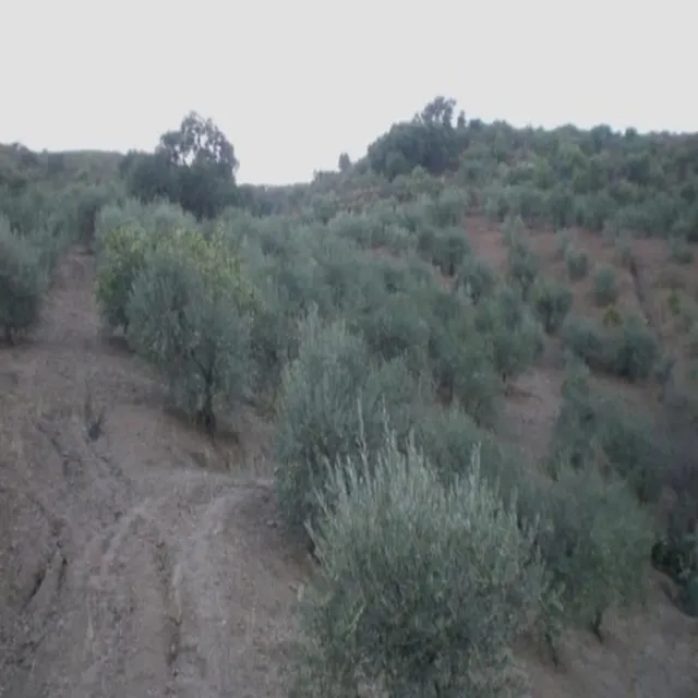 Parcela 40m² en venta - South of spain — 11