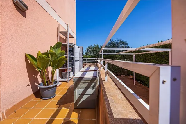 PLANTA BAJA  RESIDENCIAL EN LAS PALMERAS — 23