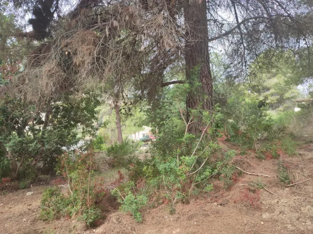TERRENO RÚSTICO EN VENTA URB. TORRE DEL VEGUER, MAS PARES DE DALT — 6