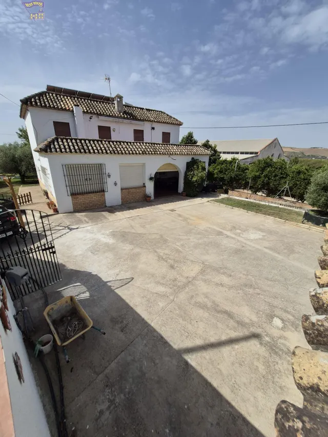 SE VENDE FINCA RÚSTICA EN ZONA DE LOS CABEZUELOS — 6
