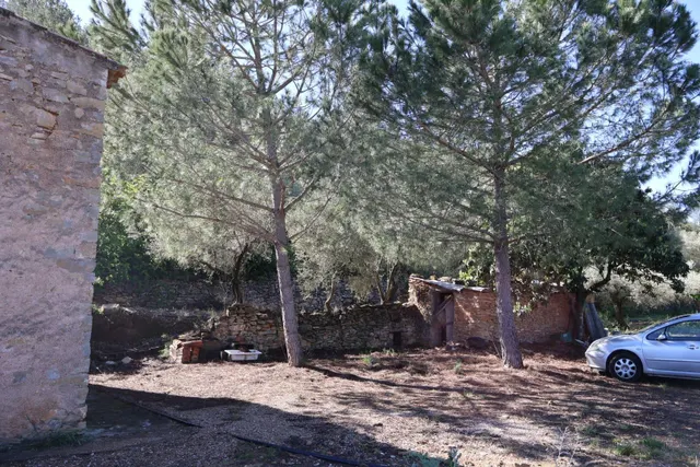 MASIA EN VILAFAMES CON TERRENO — 23