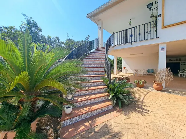 Chalet en venta en la zona del Pla de Corbera (Alzira), con  - foto 5