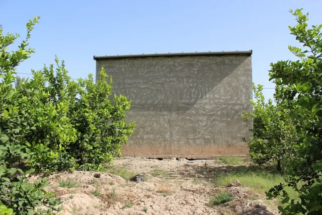 Te ofrecemos este terreno de 7500 metros cuadrados con casa-almacén en zona privada en San Bartolomé — 2