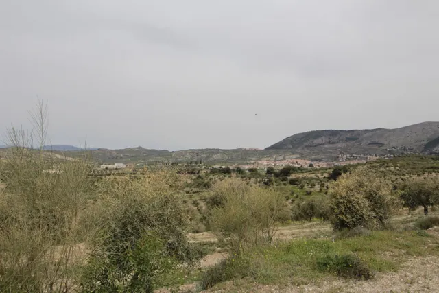 FINCA EN CORTIJO SAN JERÓNIMO (BARTODANO) — 35