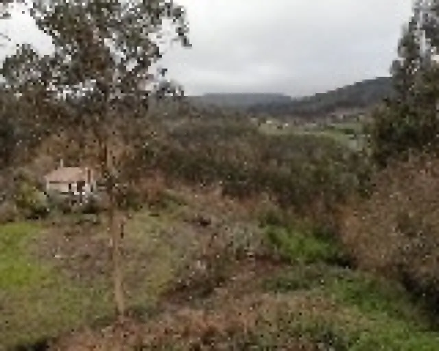 Finca Urbana en OzaCesuras — 26