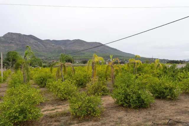 Exclusivo Chalet en Alhaurín el Grande con Piscina y Amplias Vistas — 47