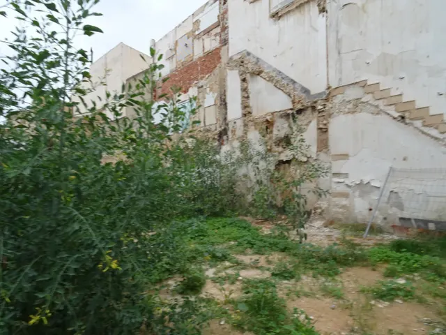 SE VENDE SOLAR URBANO EN EL CENTRO DE ASPE - foto 4