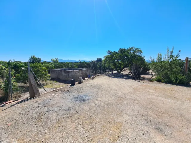 CAMPO DE NAVELINAS EN VENTA - foto 2