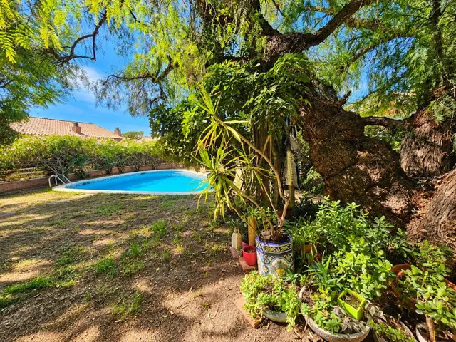 Casa con jardín y piscina en Premià de Dalt — 21
