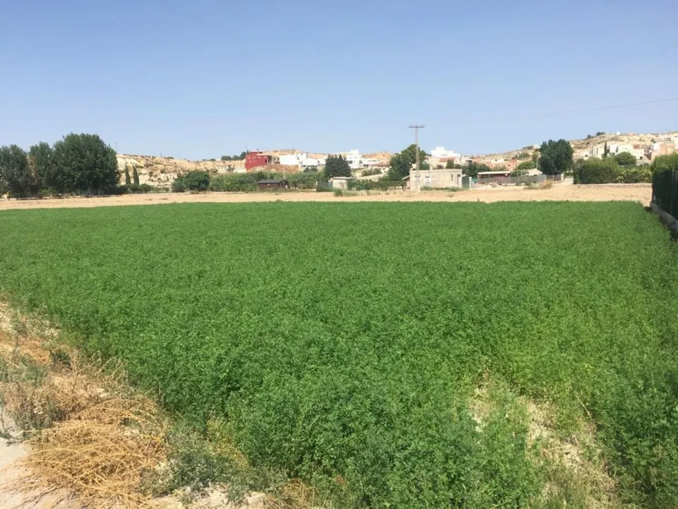 +Terreno no urbano en Molina de Segura zona Ribera de molina, 1118 m. superficie parcela++.