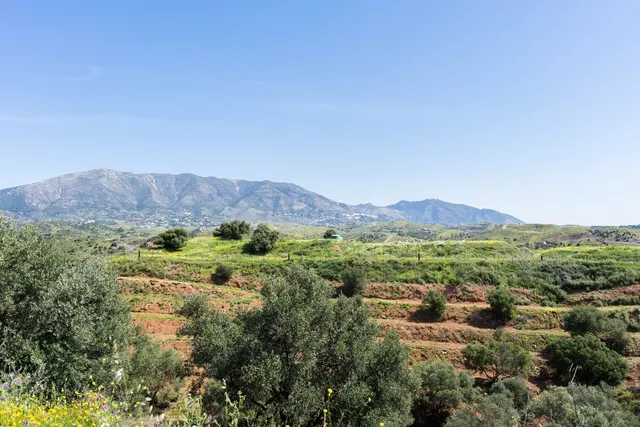 Parcela rústica agraria en Mijas con vistas al mar - foto 5