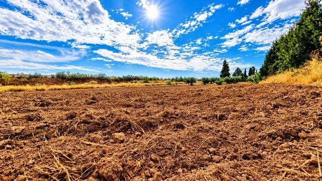 Parcela rústica de 4.824 m2 en Llanos de Moraleda, Moraleda de Zafayona — 13