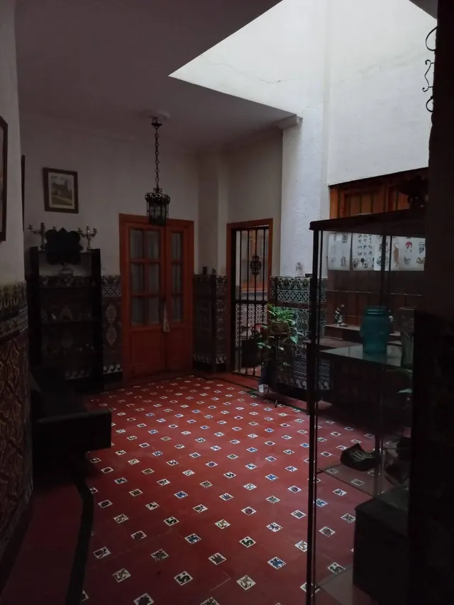 CASA EN EL CENTRO HISTORICO DE SEVILLA — 16