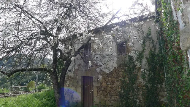 Casa a reformar en Ribadavia - foto 4
