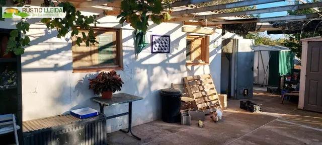Finca de regadío con casita agrícola en los alrededores de J - foto 3