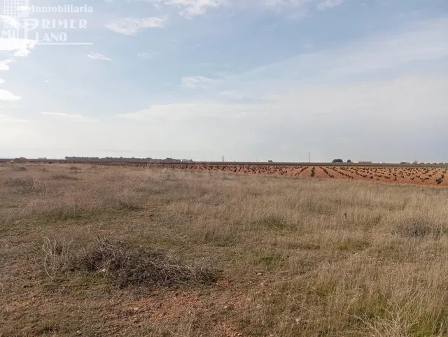 Parcela rústica de secano en Socuéllamos – Zona Carretera To