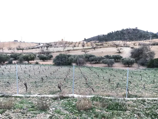 Finca en Los Jarales