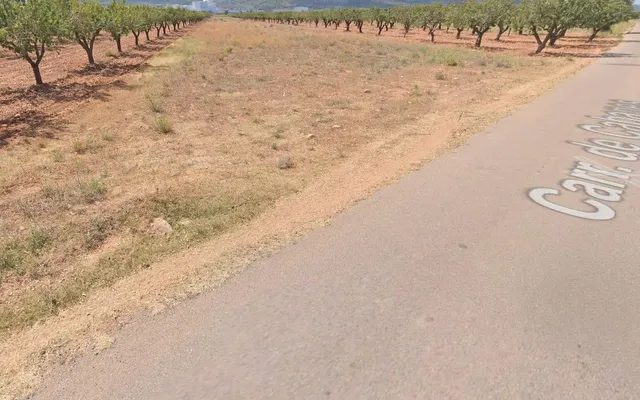 FINCA RUSTICO SECANO EN VILLAFAMES ACCESO POR CAMINO ASFALTADO — 4