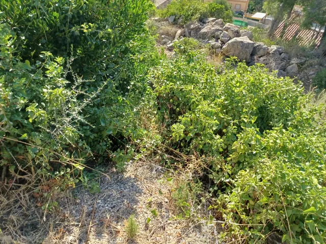 CASTELLET I LA GORNAL PARCELA DE 573 M2. EN VENTA - foto 3