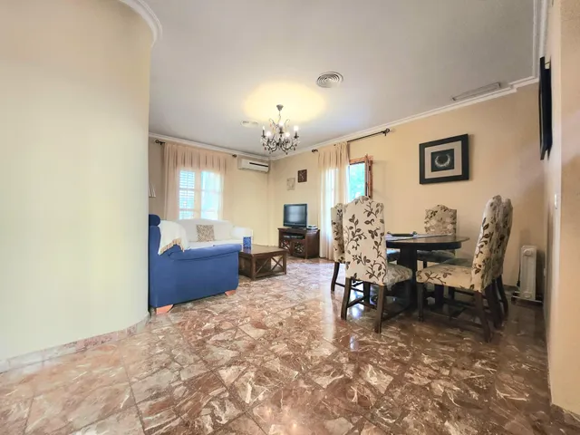 IMPRESIONANTE CASA EN CENTRO DE ALCALA DE UNA SOLA PLANTA CON LOCAL COMERCIAL Y GARAJE. — 40