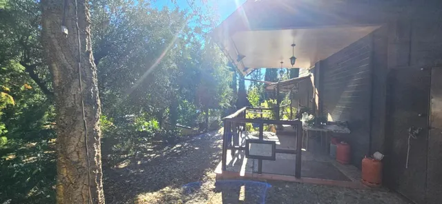 Finca rústica en Alcolea del Río con piscina, placas solares y 5.000 m2 — 11