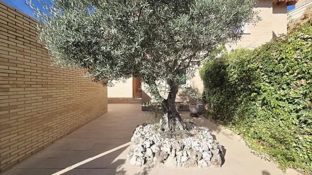 Alquiler de habitaciones por temporada en chalet con piscina de Villanueva de la Cañada (Madrid). — 32