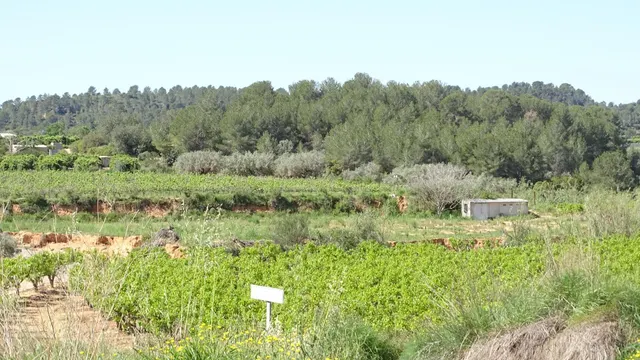 Terreno en venta en Vilamarxant — 2