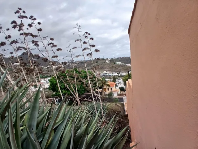 Terreno Urbanizable en Urbanización Santa Margarita (Marzagán) — 7