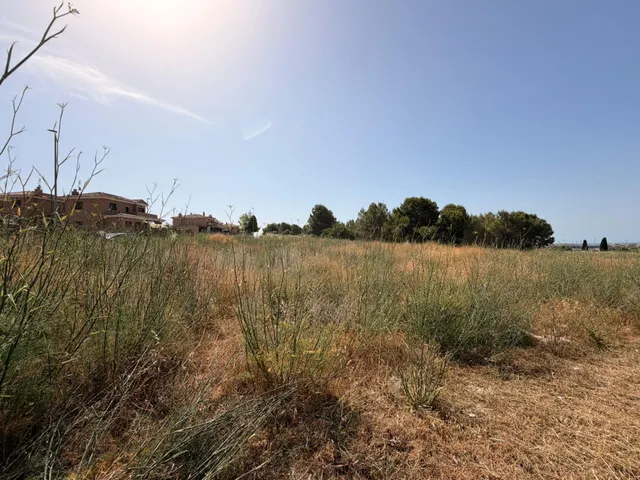 PARCELA EN VENTA EN LAS PEDRERES SANTA OLIVA — 7