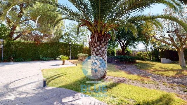 IMPRESIONANTE CASA EN CASILLA DEL AIRE — 50