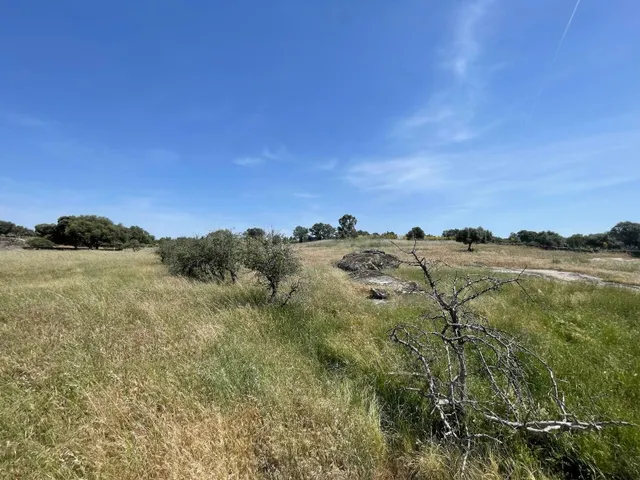 PARCELA RUSTICA DE 2 HECTÁREAS CERCA DE LA ERMITA DE LA LUZ