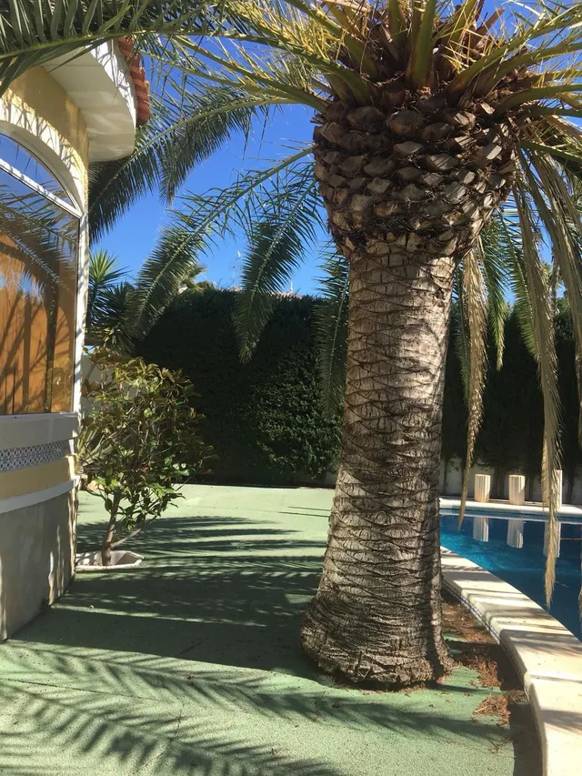 CHALET EN CIUDAD QUESADA POR 330.000€ — 28