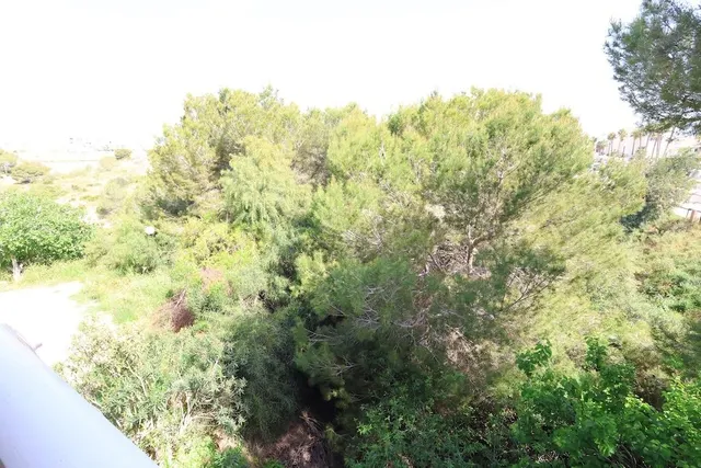 Apartamento a 5 minutos andando de La Zenia Boulevard — 20